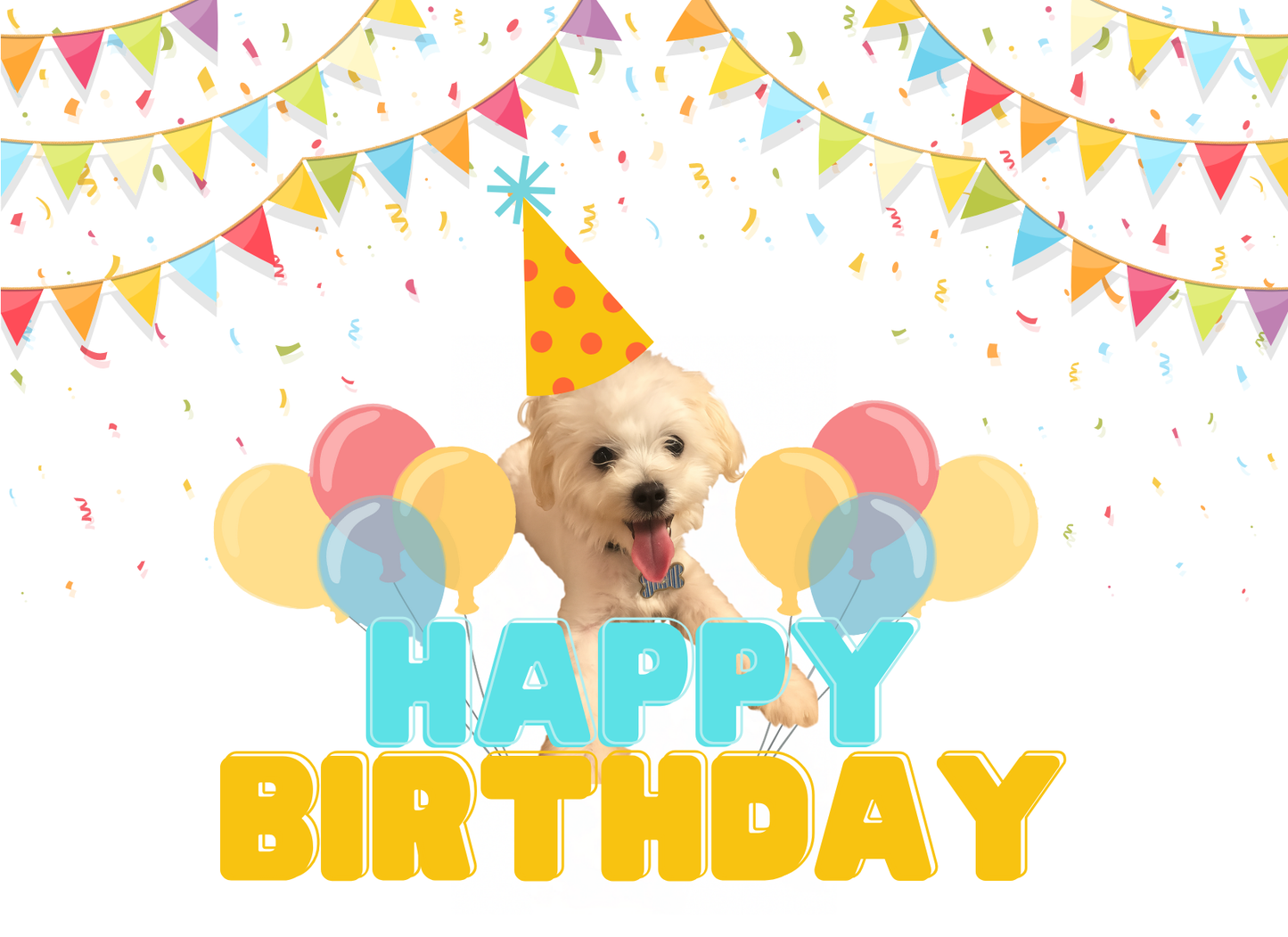 Notecard - Maltipoo Happy Birthday