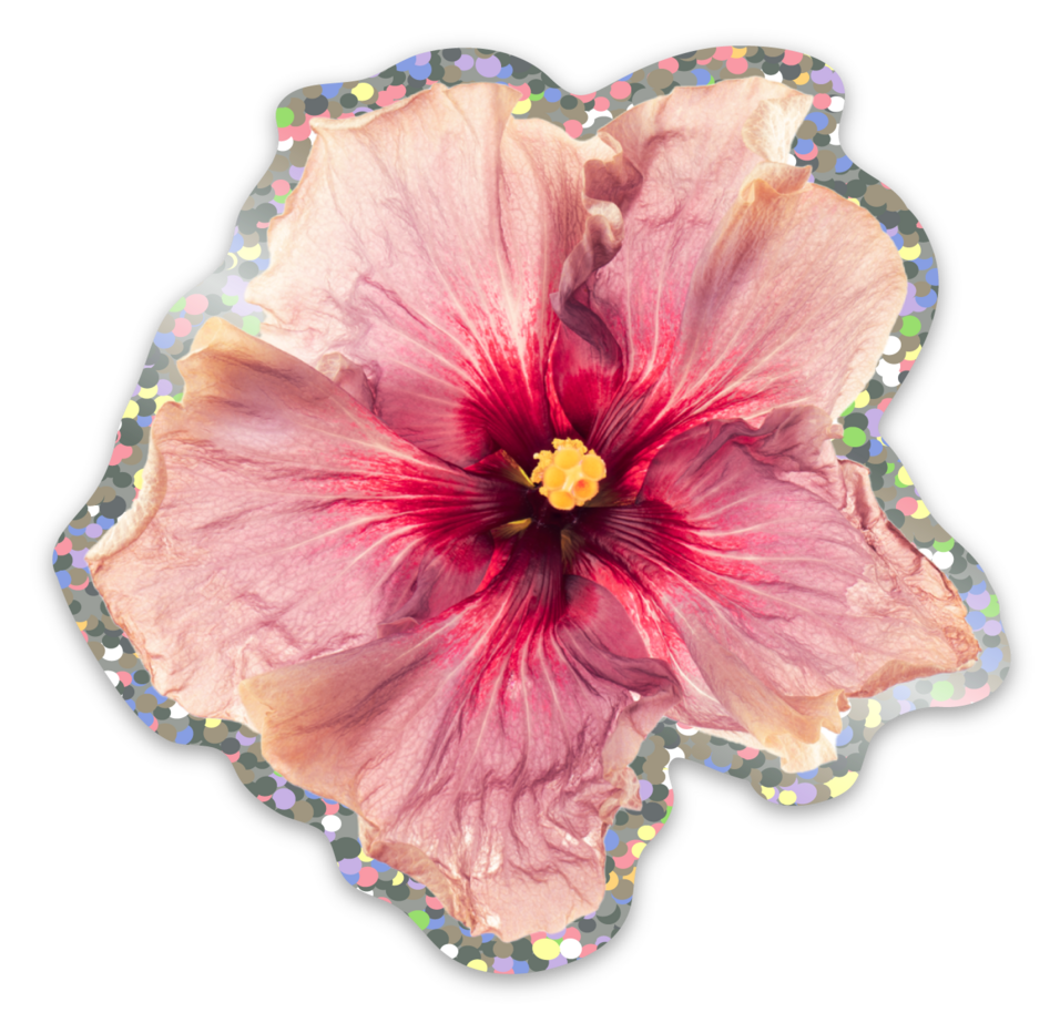 Sticker - A Splash of Style - Shimmer