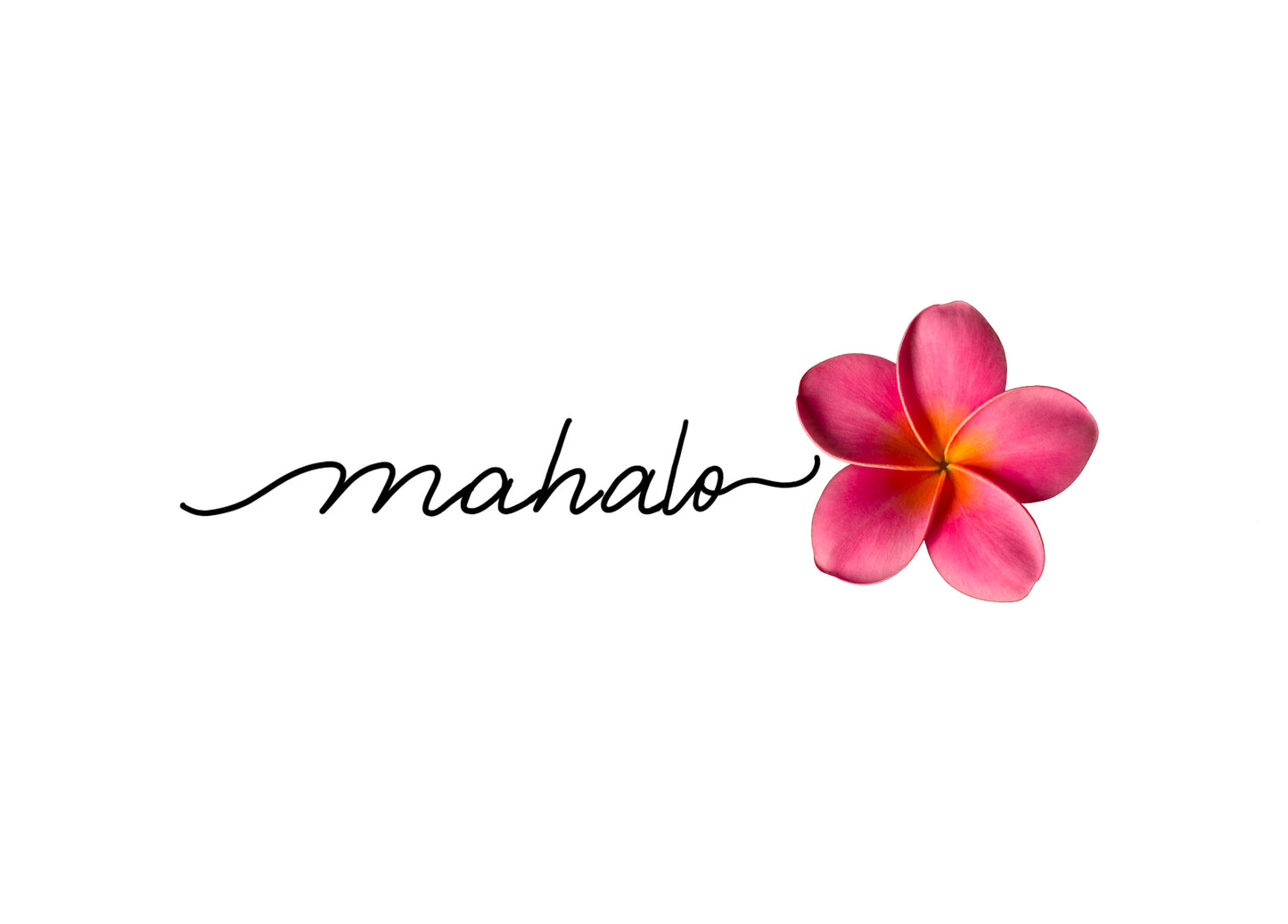 Pink plumeria flower with "Mahalo" script