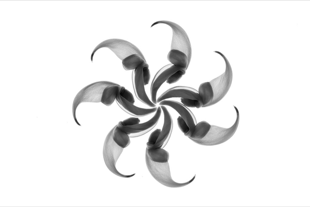 Jade Spiral