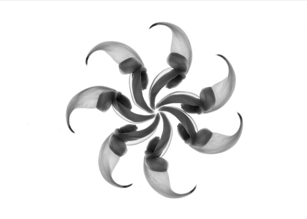 Jade Spiral