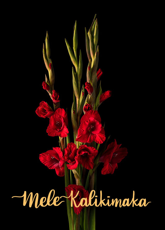 Notecard - Dawning Beauty - Mele Kalikimaka