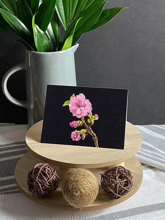 Notecard – Cherry Blossom