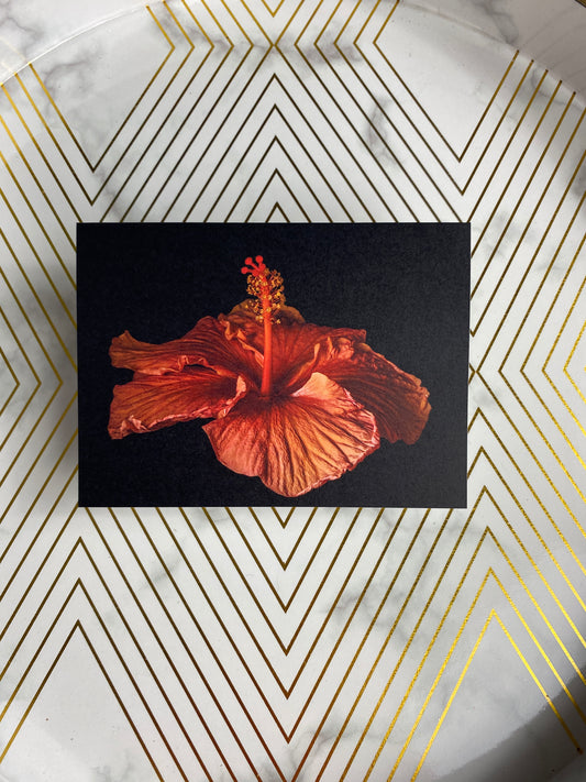 Notecard – Orange Hibiscus