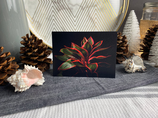 Notecard – Ti Plant (John Cummins)