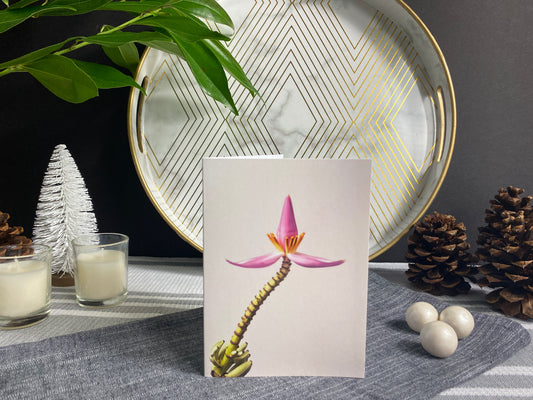 Notecard – Ornamental Banana (Light)