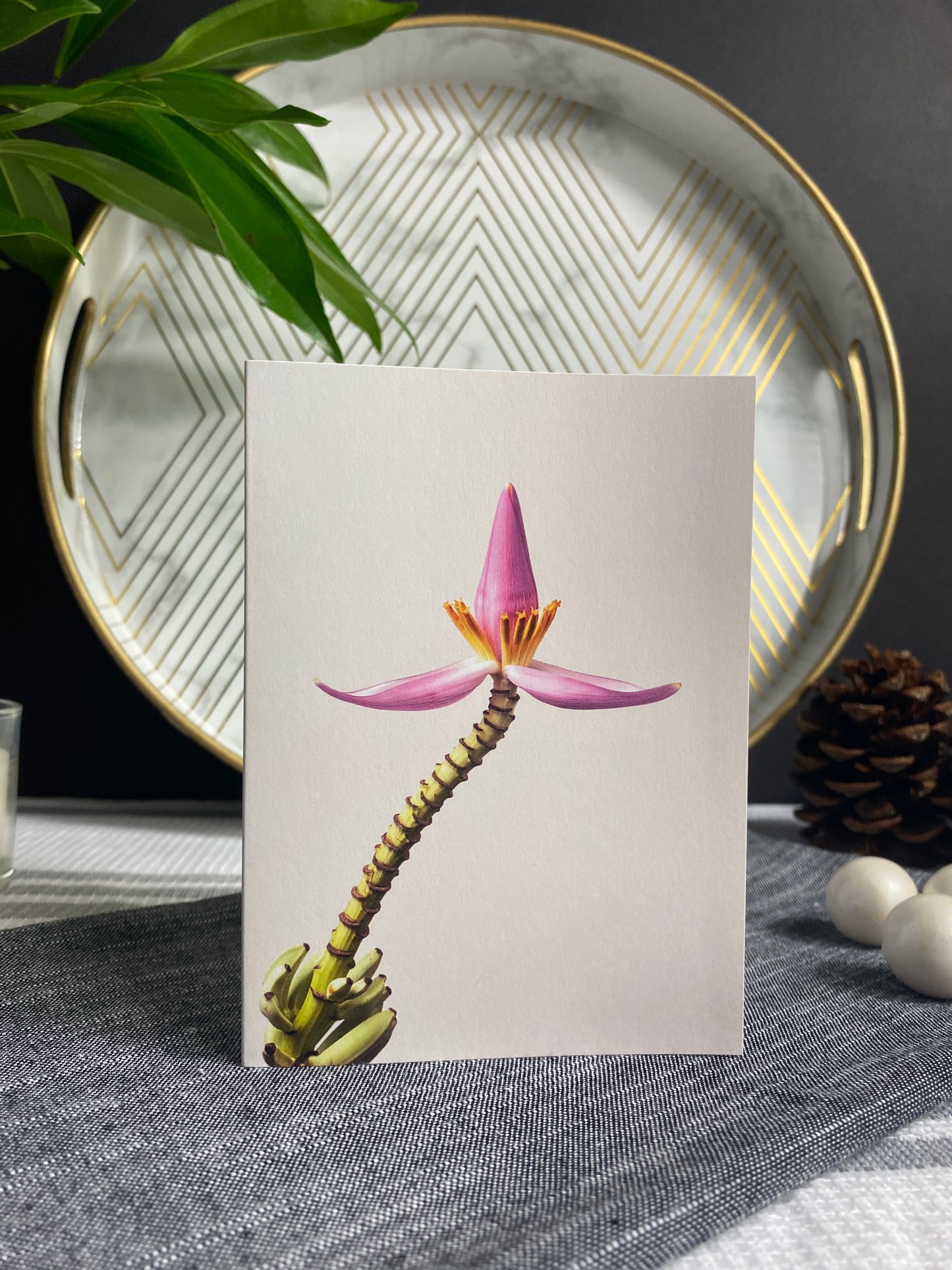 Notecard – Ornamental Banana (Light)