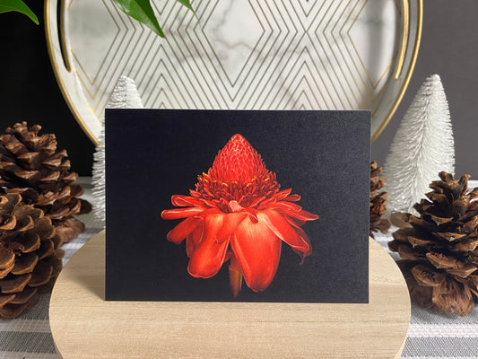 Notecard – Torch Ginger