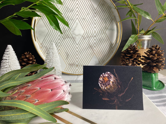 Notecard – White Mink Protea