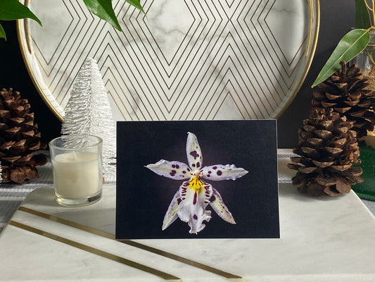 Notecard – Spotted Orchid