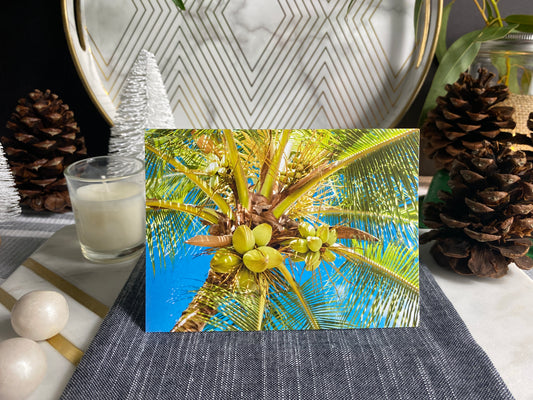 Notecard – Coconuts in the Shade