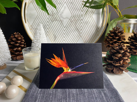 Notecard – Bird of Paradise