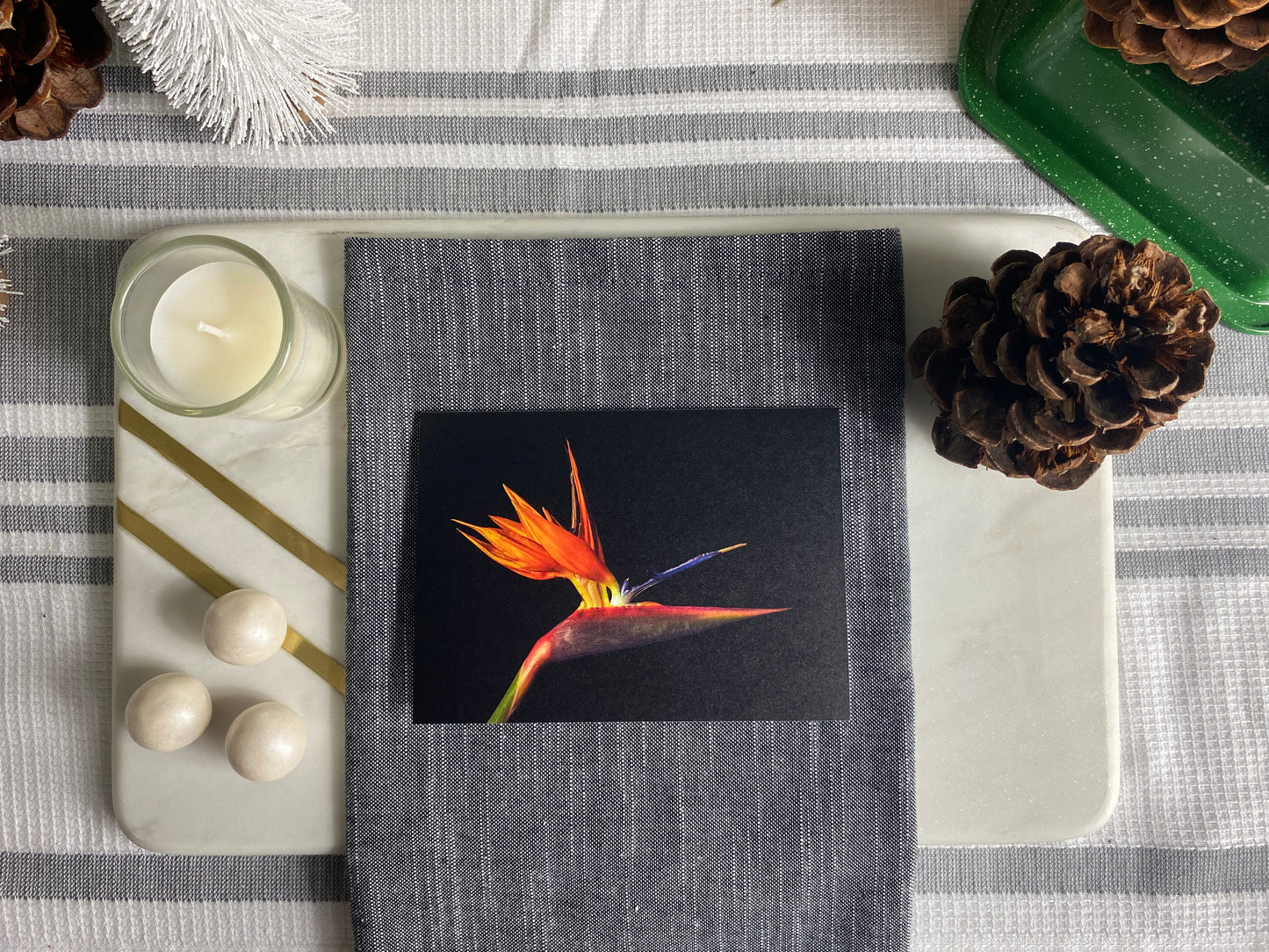 Notecard – Bird of Paradise