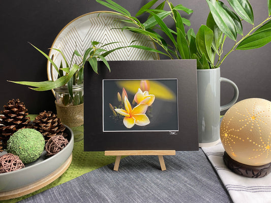 Haleakalā Fine Art Print