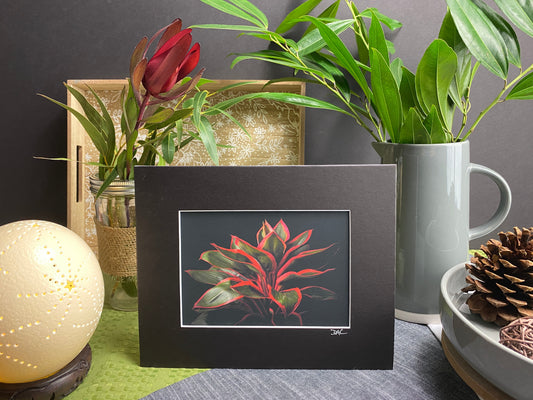 Ti Plant – John Cummins