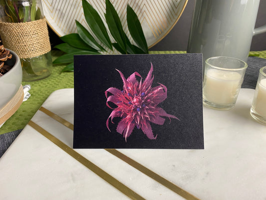 Notecard – Bromeliad Bloom