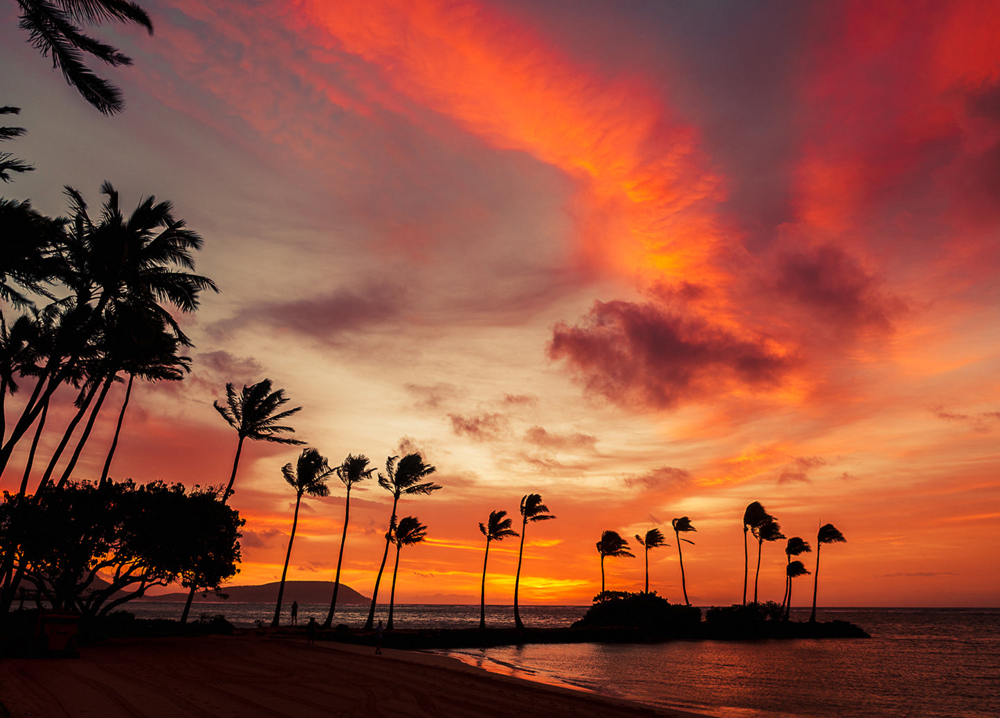Notecard - Kahala Sunrise