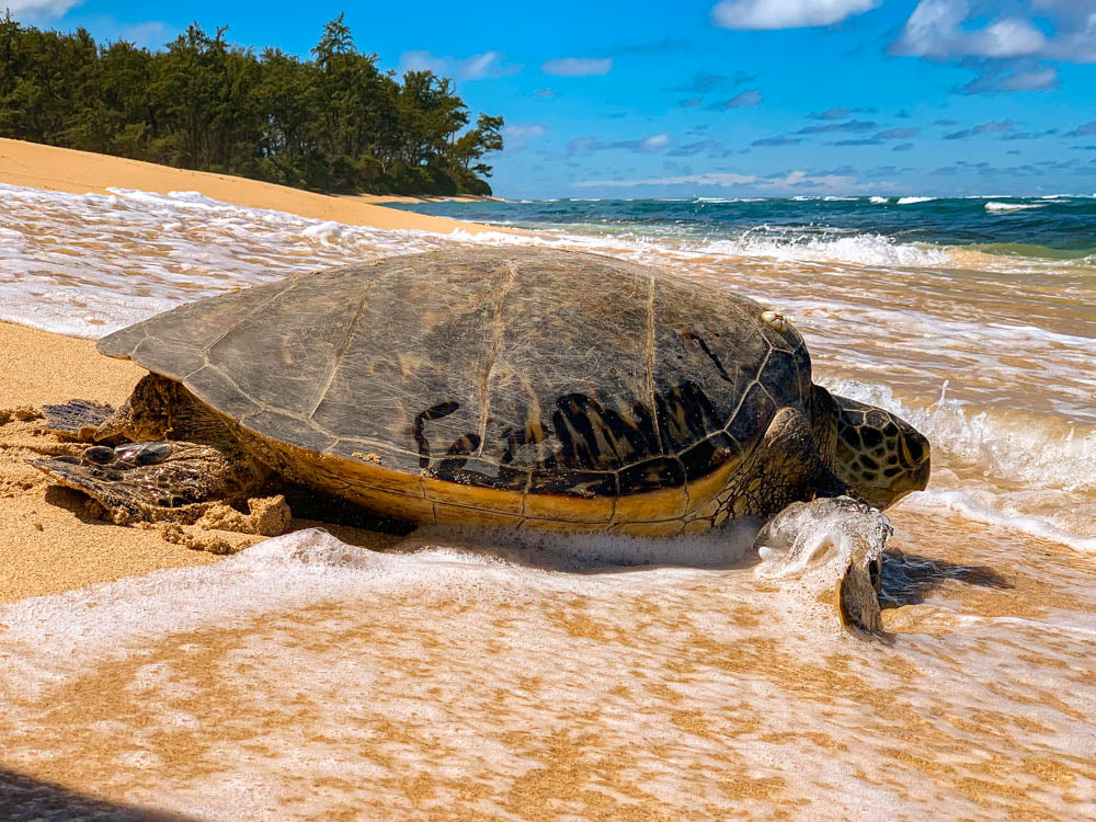 Ocean Break Fine Art Print