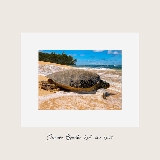 Ocean Break Fine Art Print