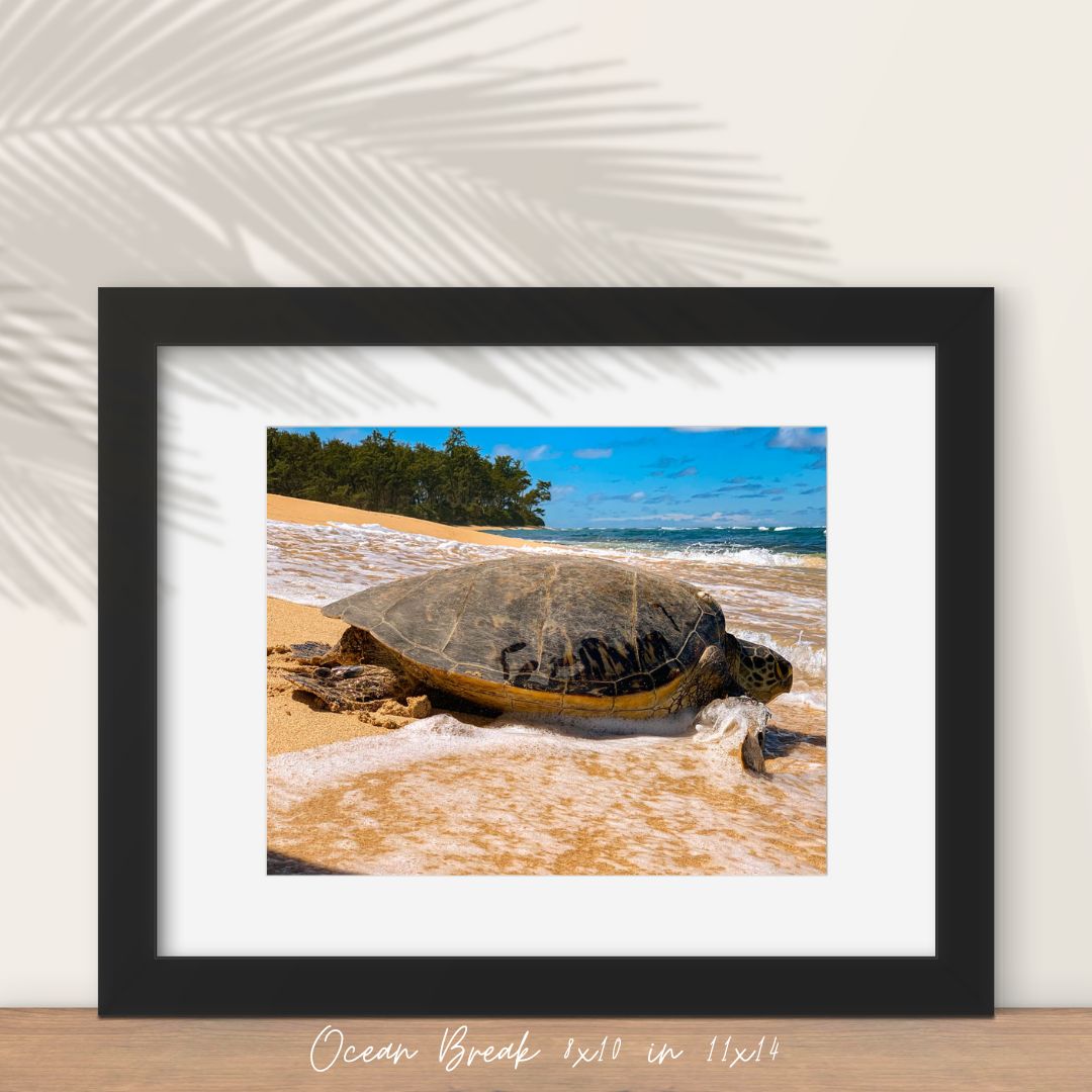 Ocean Break Fine Art Print