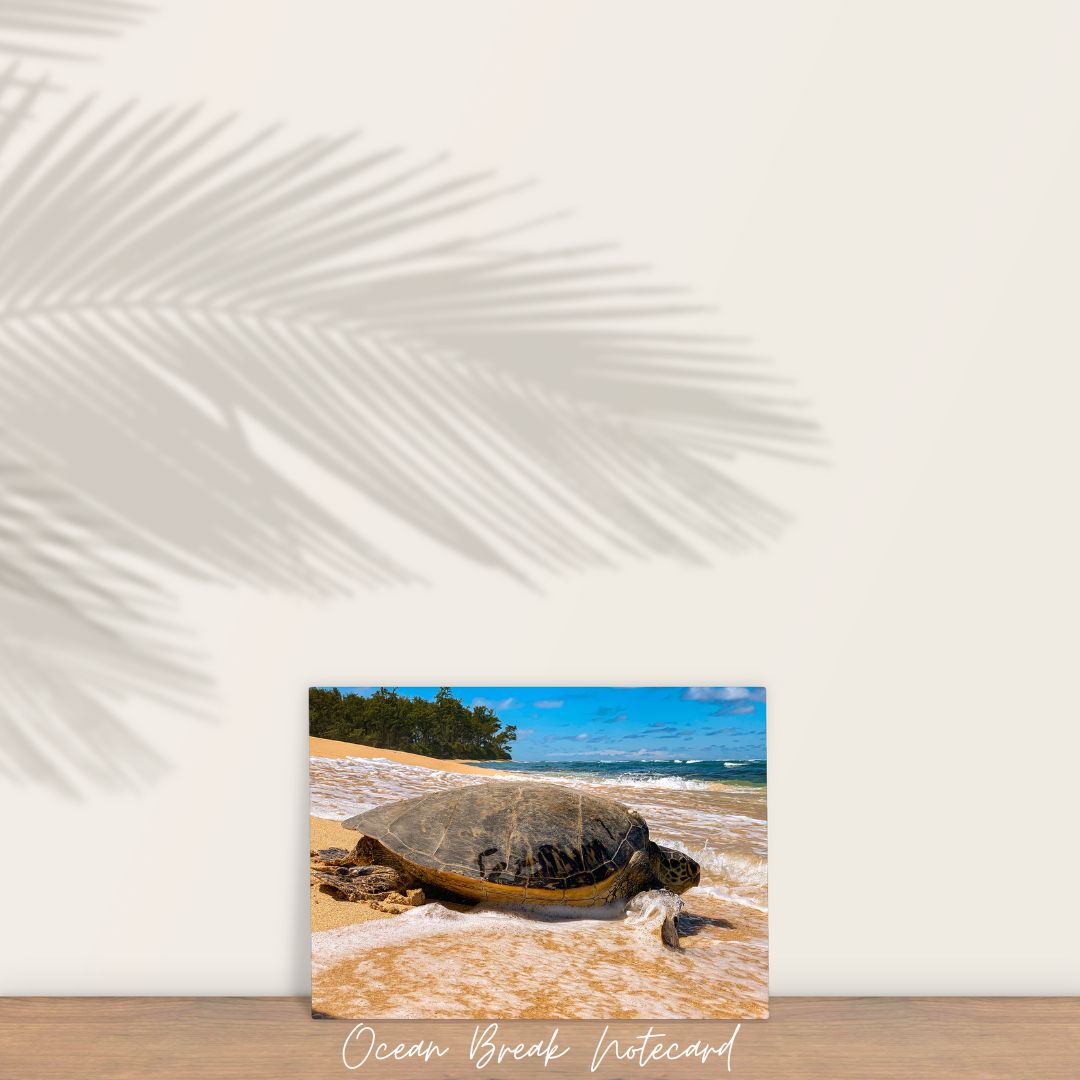 Notecard - Ocean Break