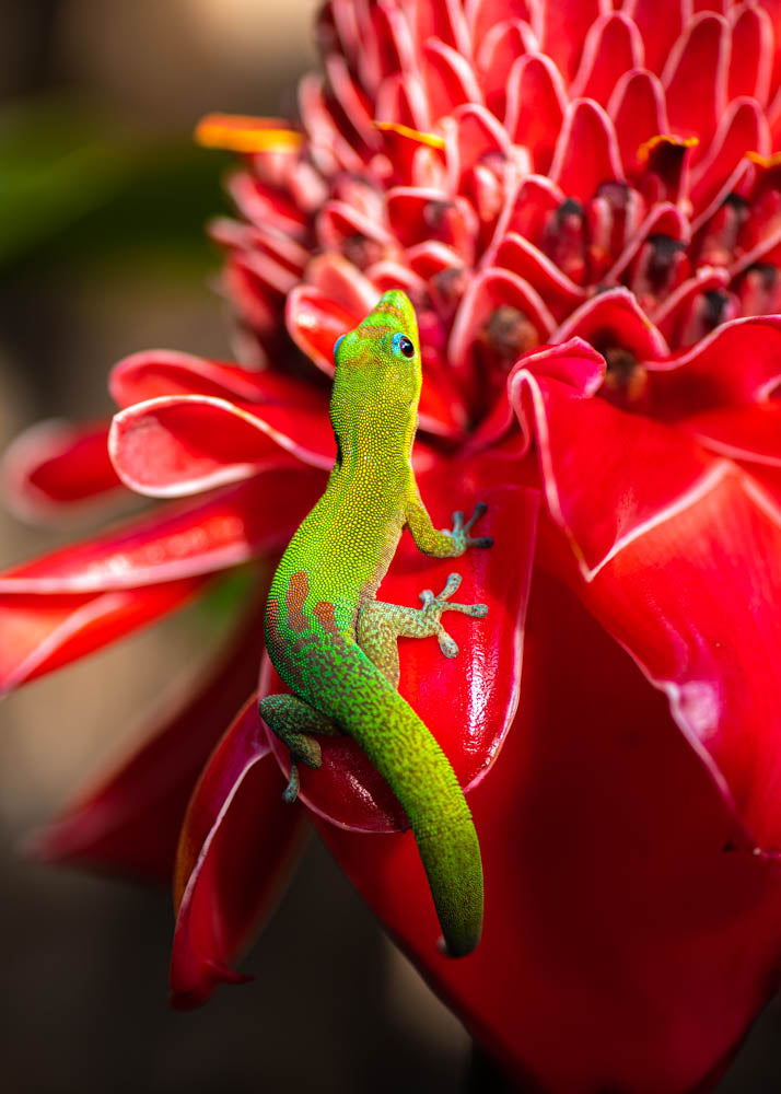 Notecard - Out to Lunch