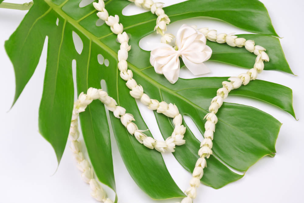 Notecard - Pikake and Monstera