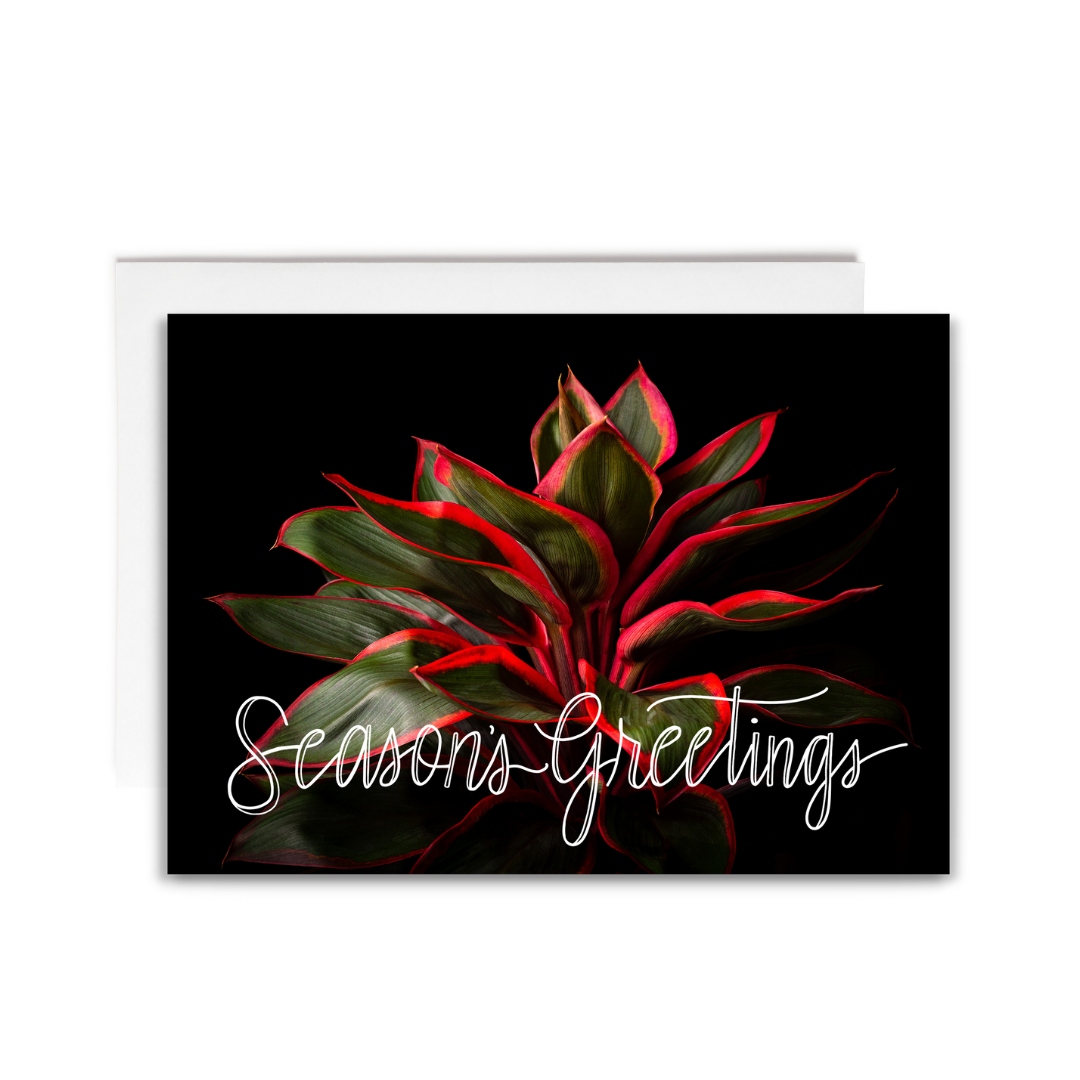Notecard - Ti Plant (John Cummins) - Season's Greetings
