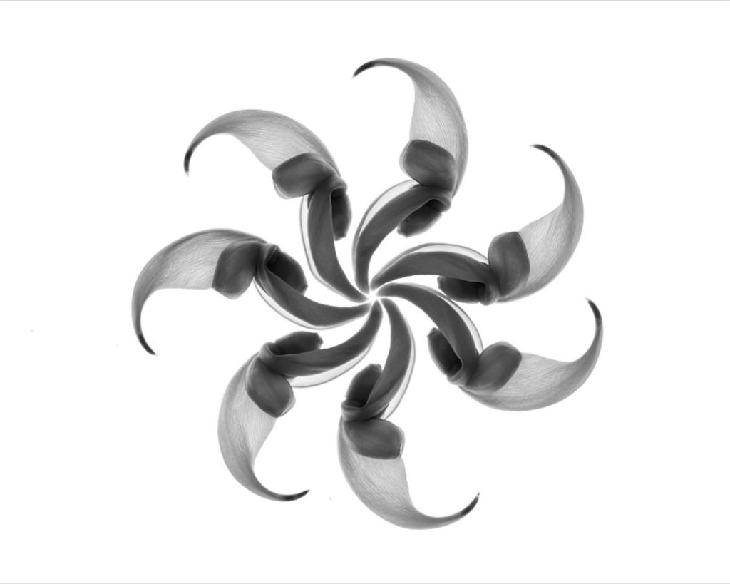 Jade Spiral