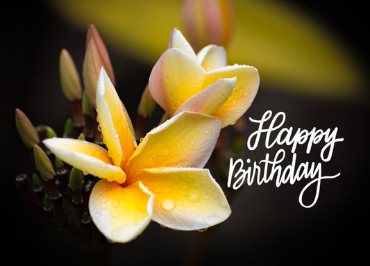Notecard - Haleakalā - Happy Birthday