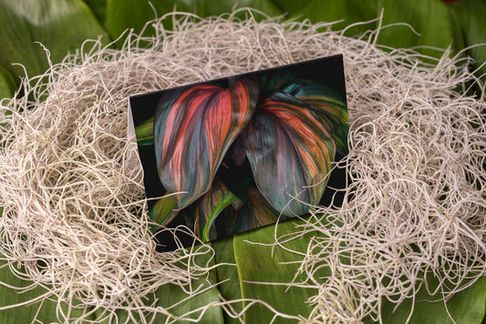 Notecard – Morning Sunshine