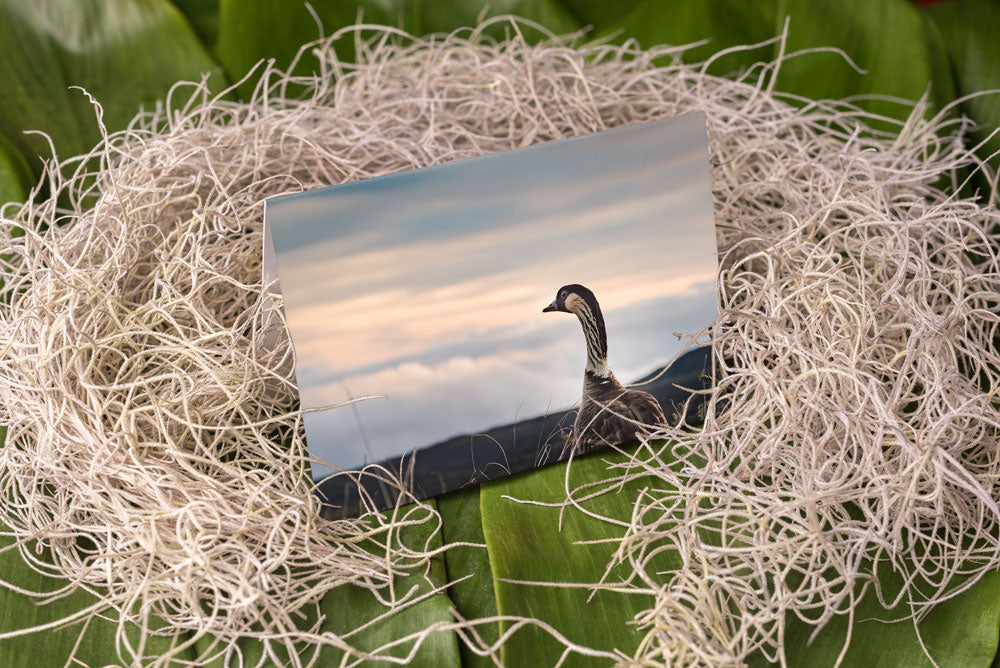 Notecard – Nene