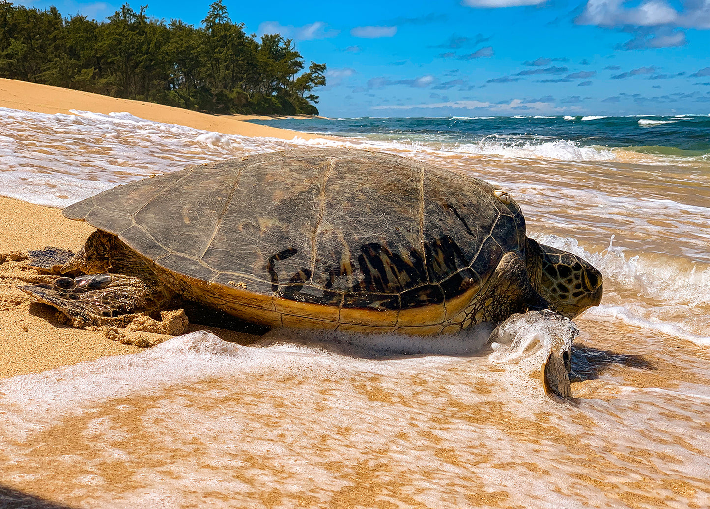 Notecard - Ocean Break