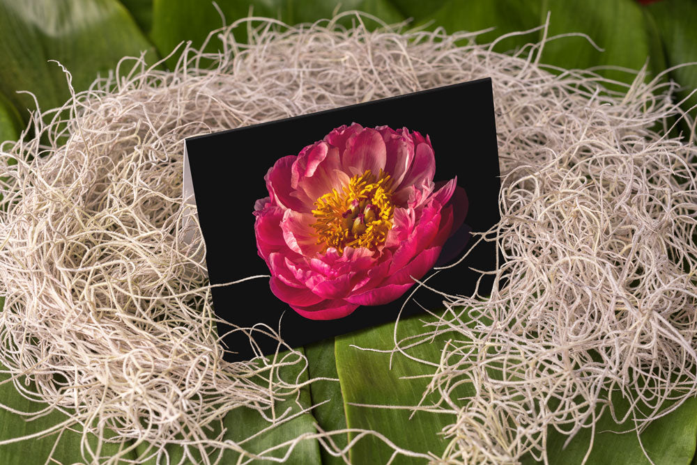 Notecard – Pink Peony