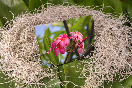 Notecard – Pink Bunch