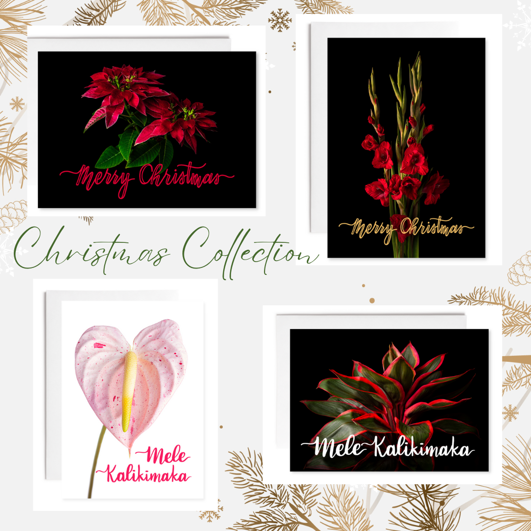 Christmas Collection