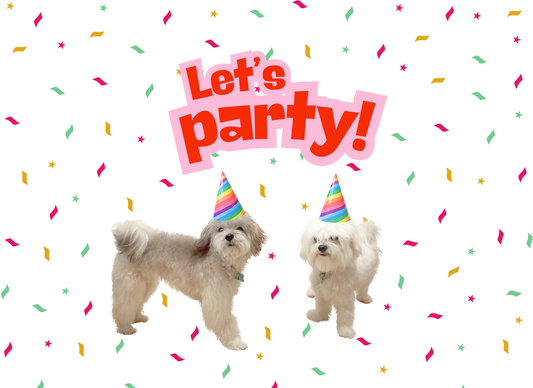 Notecard - Let's Party - Maltipoo