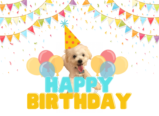 Notecard - Maltipoo Happy Birthday