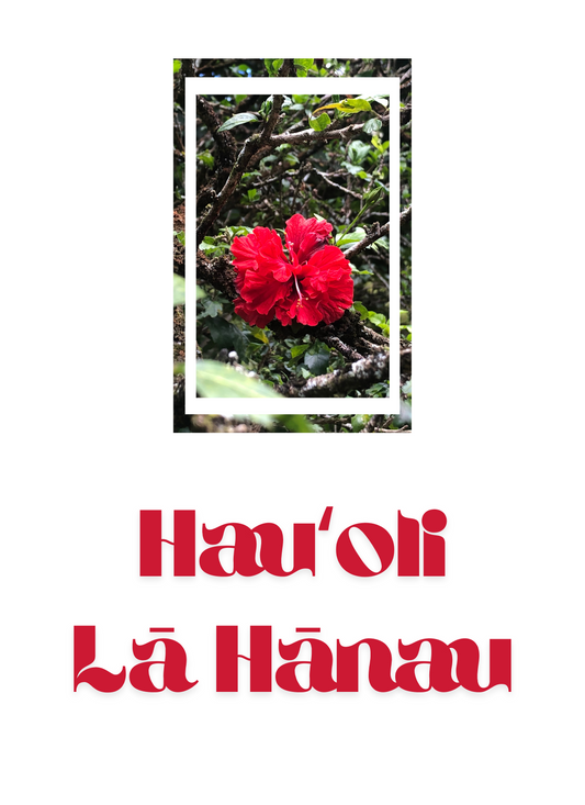 Notecard - Hibiscus Blessings