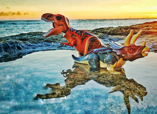 Notecard - Reflections of the Jurassic