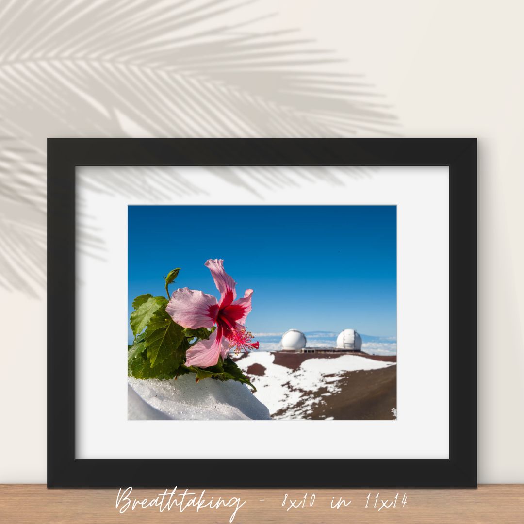 8x10 in 11x14 framed Breathtaking Fine Art Print picturing snow capped Mauna Kea with observatories in the background and a pink hibiscus in the foreground