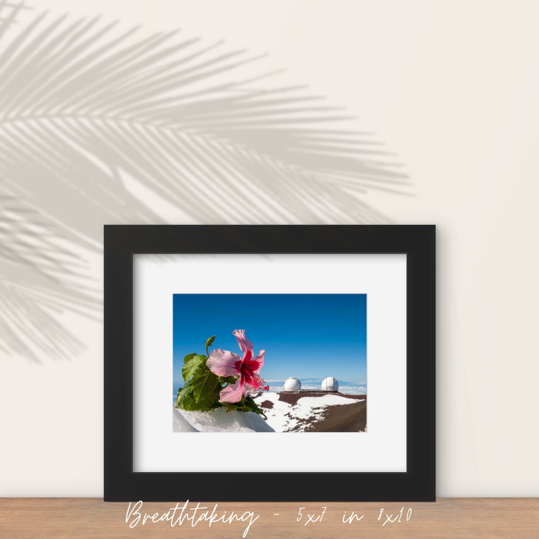 Breathtaking Fine Art Print