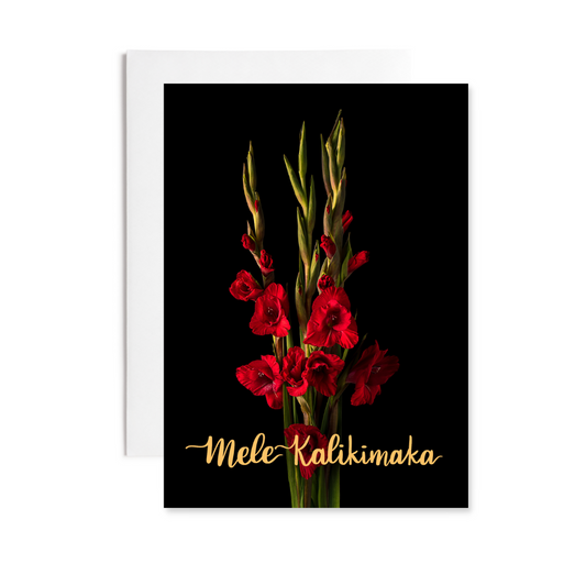 Notecard - Dawning Beauty - Mele Kalikimaka