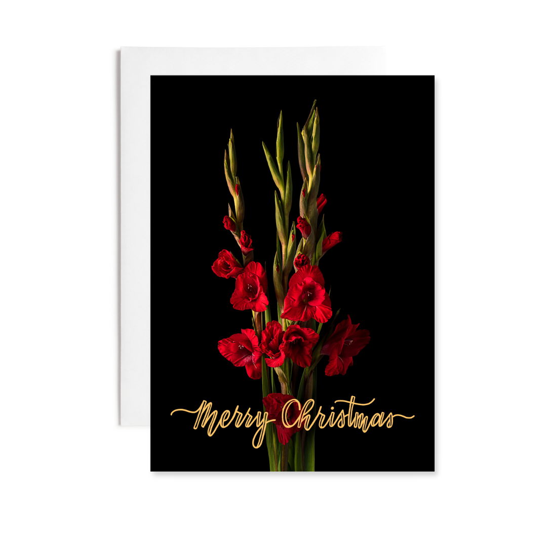 Notecard - Dawning Beauty - Merry Christmas