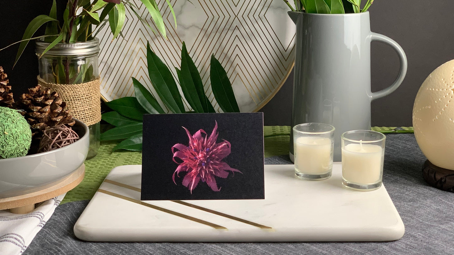 Notecard – Bromeliad Bloom