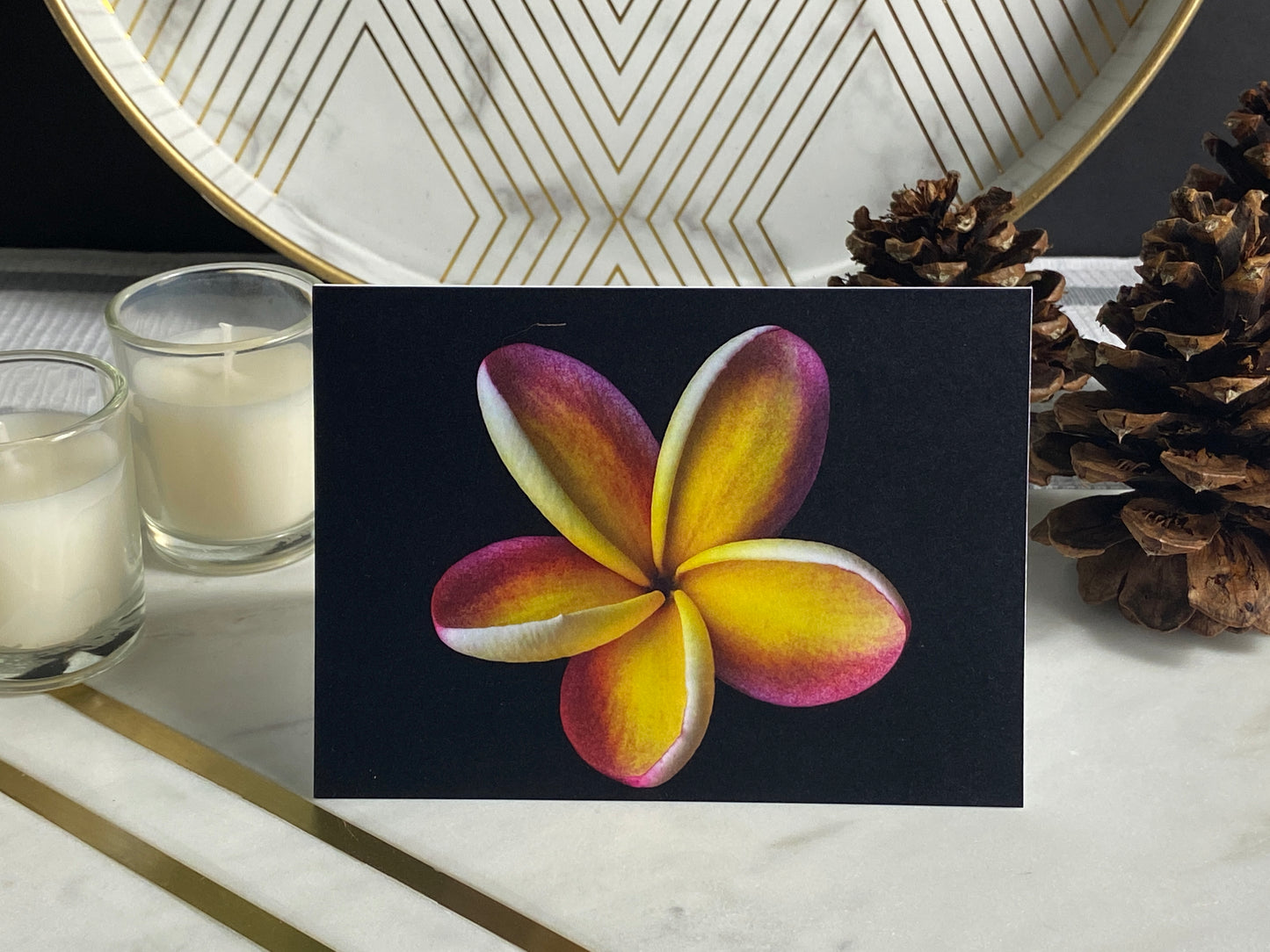 Notecard – Rainbow Plumeria