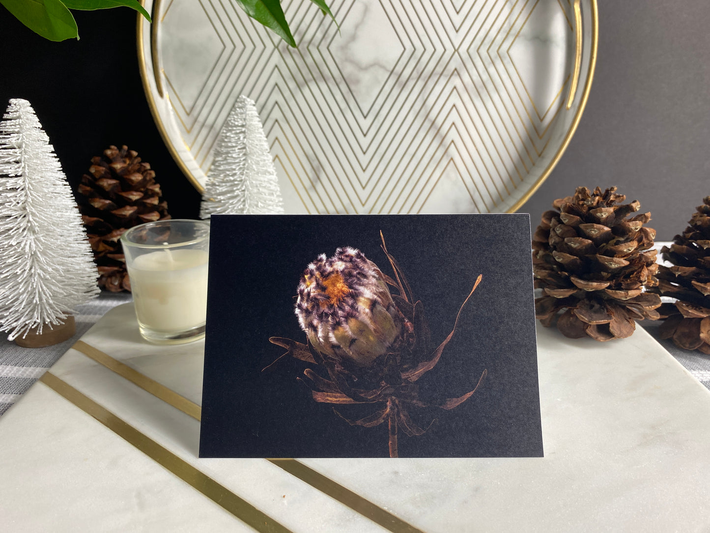 Notecard – White Mink Protea