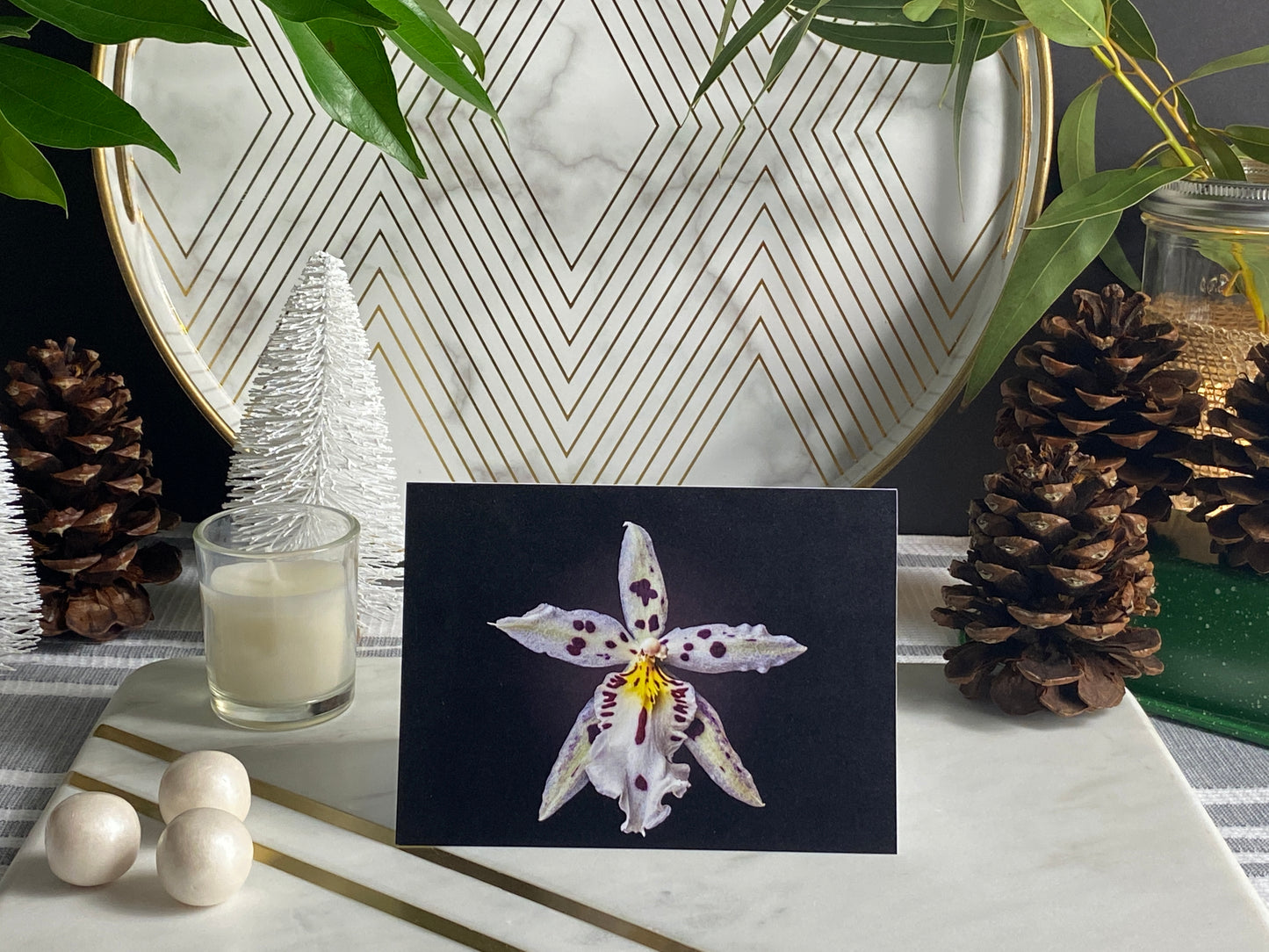 Notecard – Spotted Orchid
