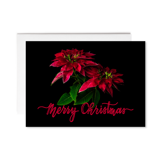 Notecard - Poinsettia Pair - Merry Christmas