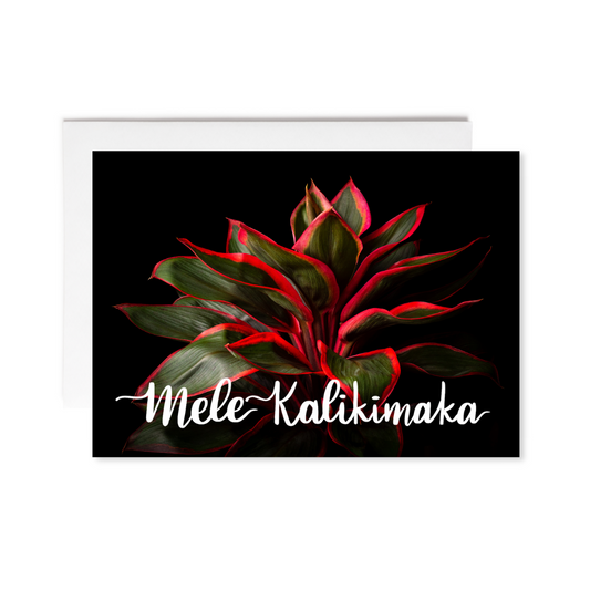 Notecard - Ti Plant (John Cummins) - Mele Kalikimaka